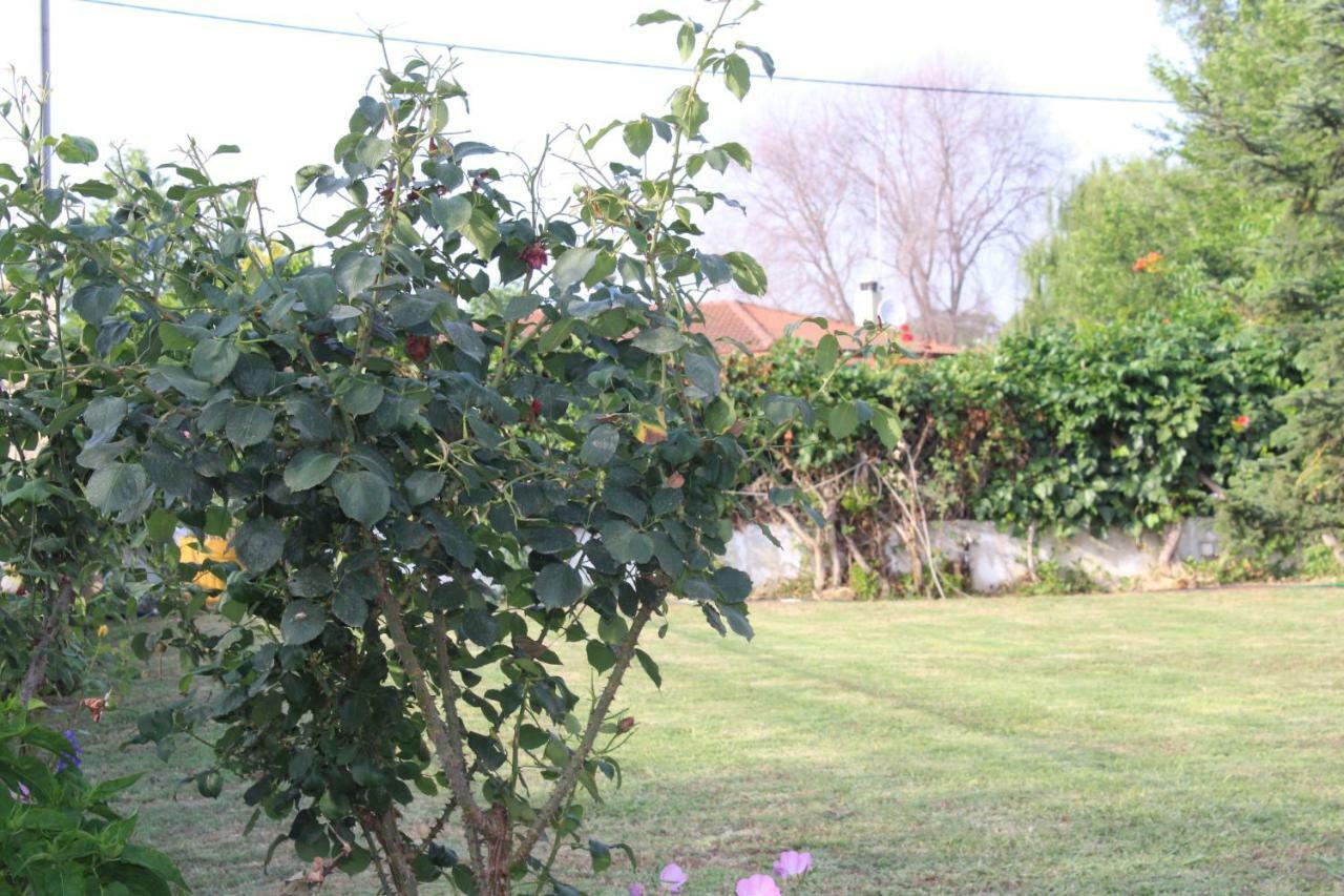Maria'S Guesthouse Keramoti  Ngoại thất bức ảnh